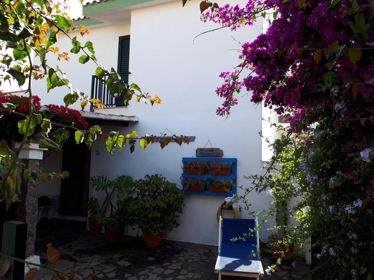 Villino Marrakech Apartment Calasetta Exterior photo